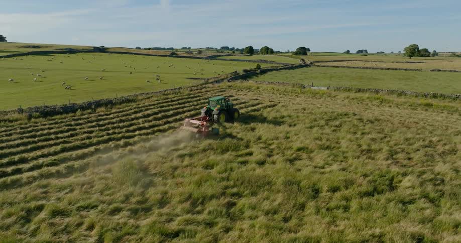 A tractor is working in the field cutting grass