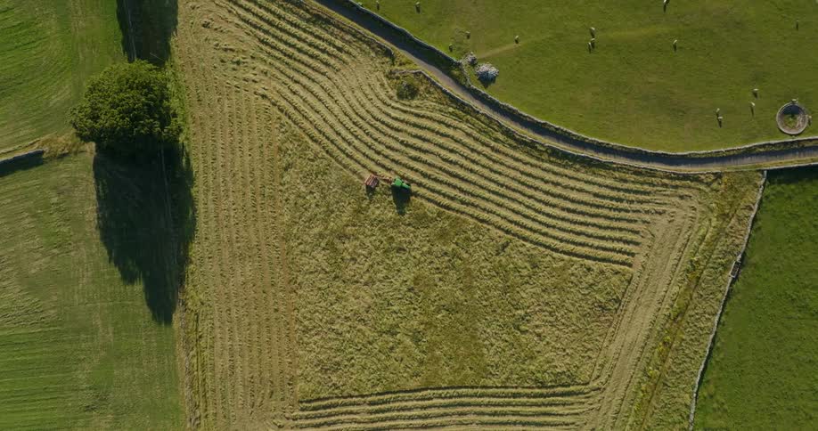 A field is being cut by a farm tractor