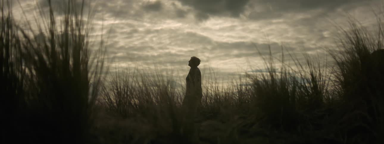 A person walks through the grass