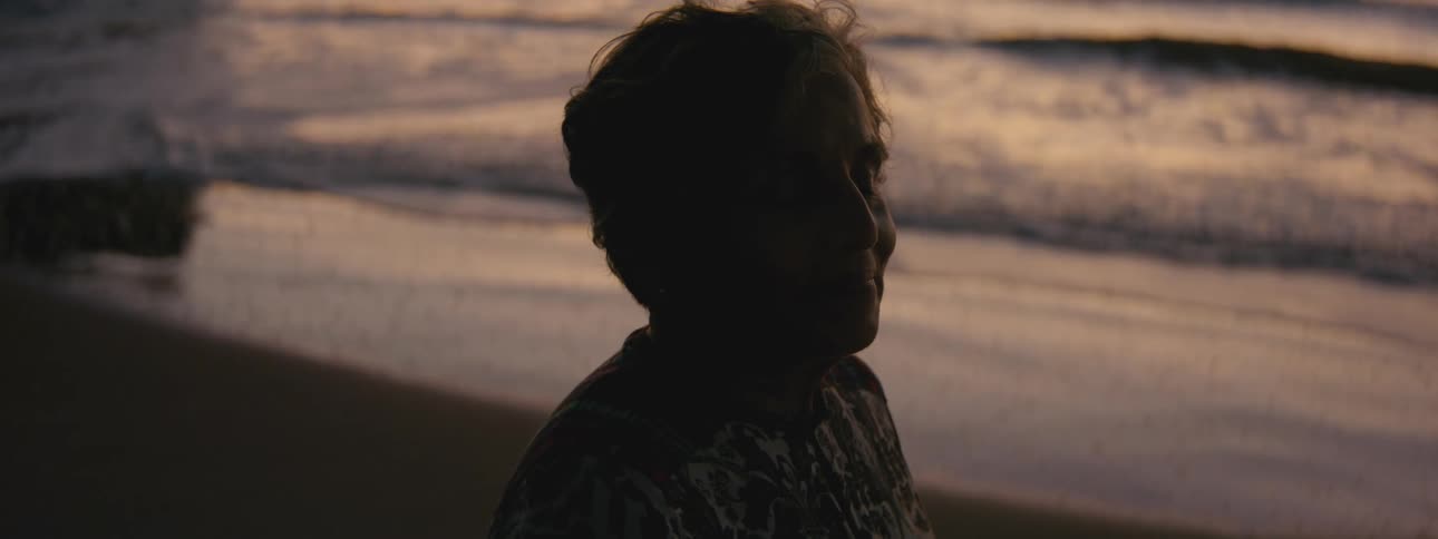 A man stands on the beach at sunset