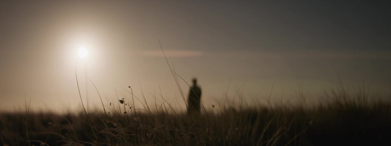 A person is standing on the field in the distance