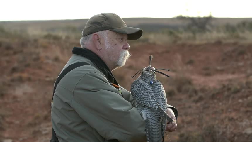 A man has a bird on his arm