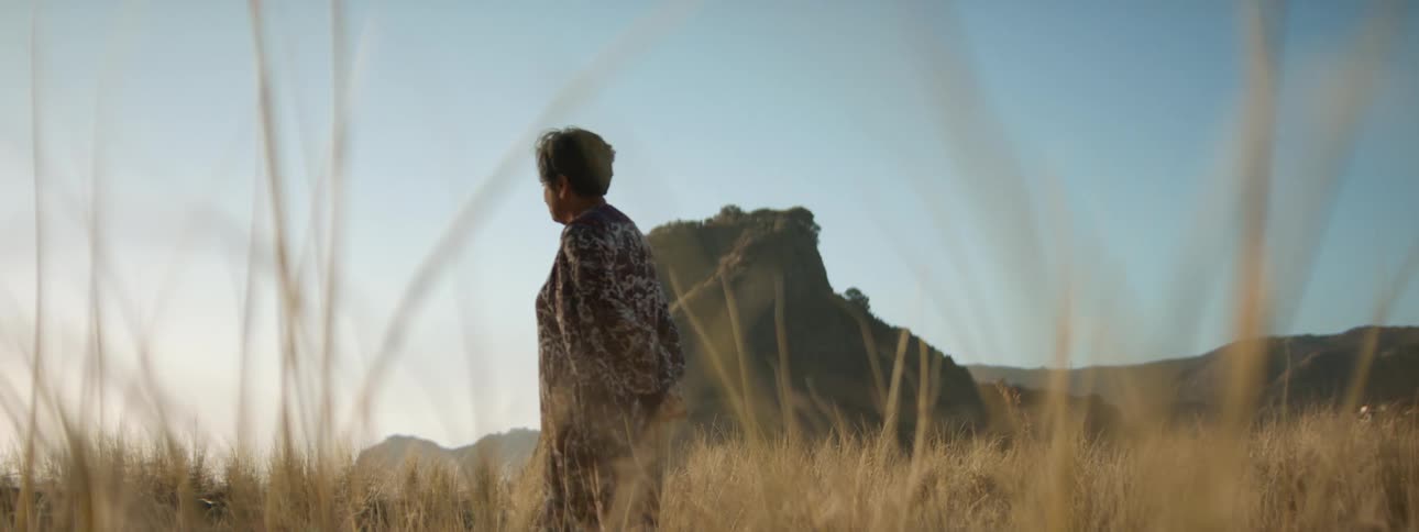 A person is walking through the grass