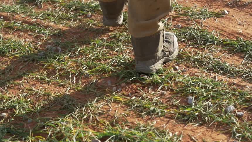 A man walks across a field