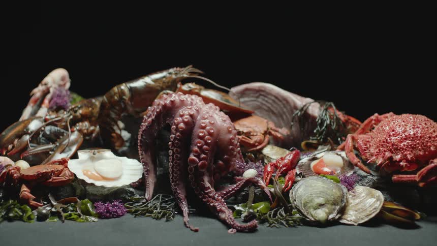 Seafood set up for a photo shoot in a studio