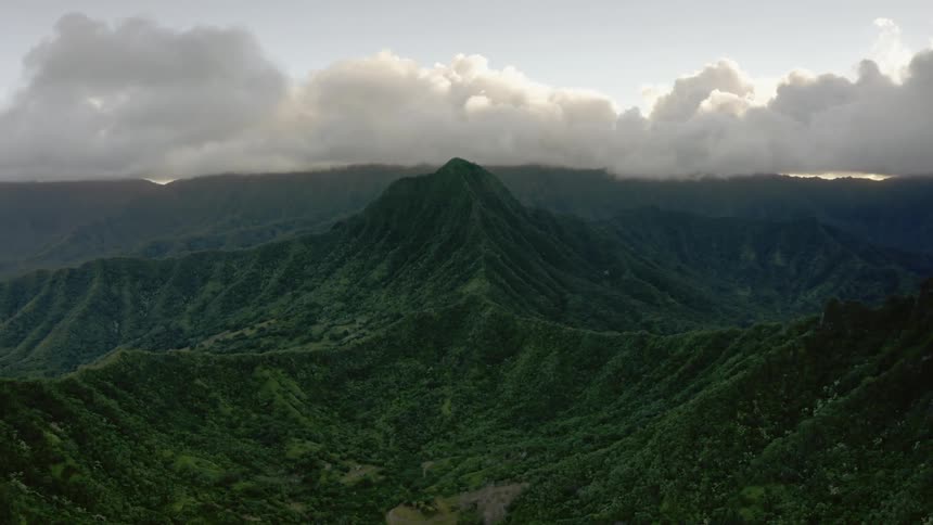 Trees in a valley surrounded by hills