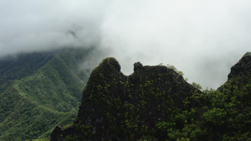Fog rises from a mountain ridge covered in grass and plants