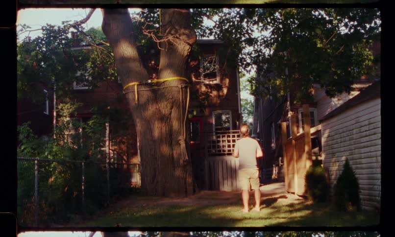 A man stands in his backyard and looks up at a tree