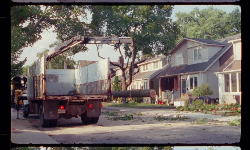 A truck is on a neighborhood street lifting a log from a fallen tree with a crane