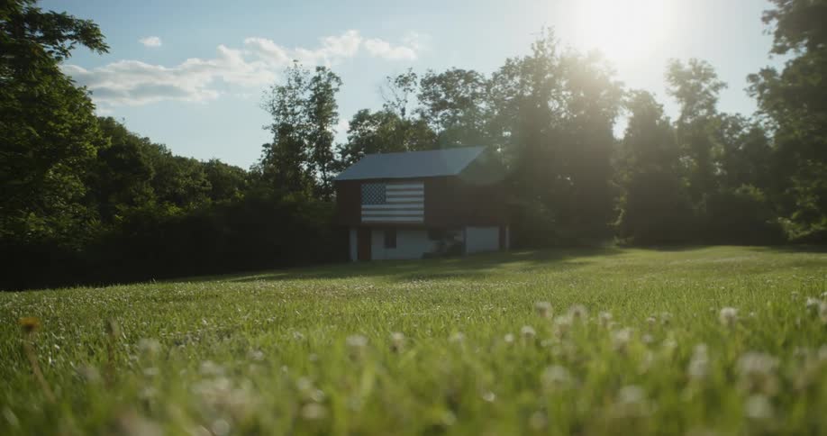 Bees are flying around flowers in a yard and there is a house near the woods with an american flag on the side