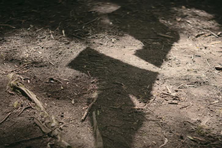 The shadows of clothing hanging outside