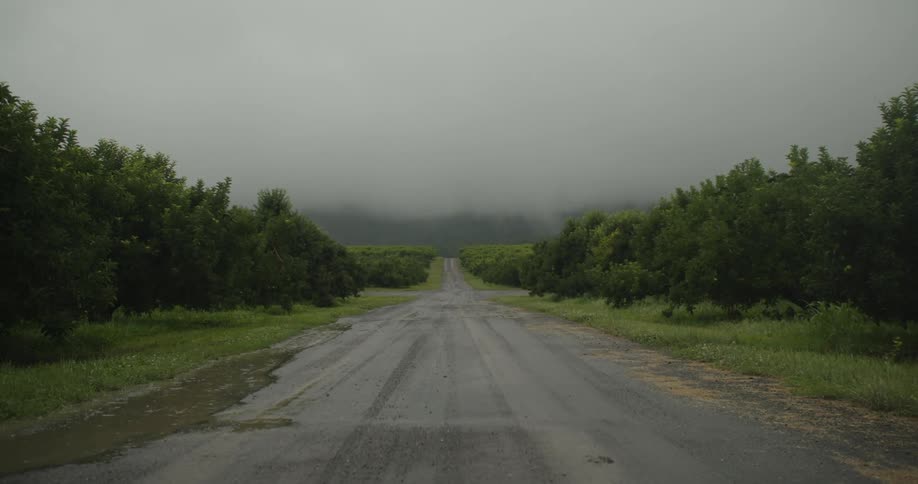 The road is empty on a cloudy day