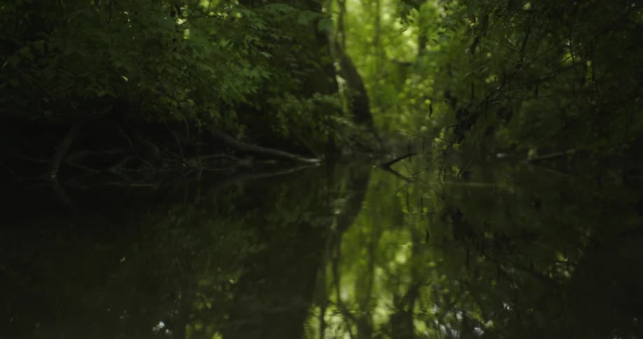 The water is calm and reflective