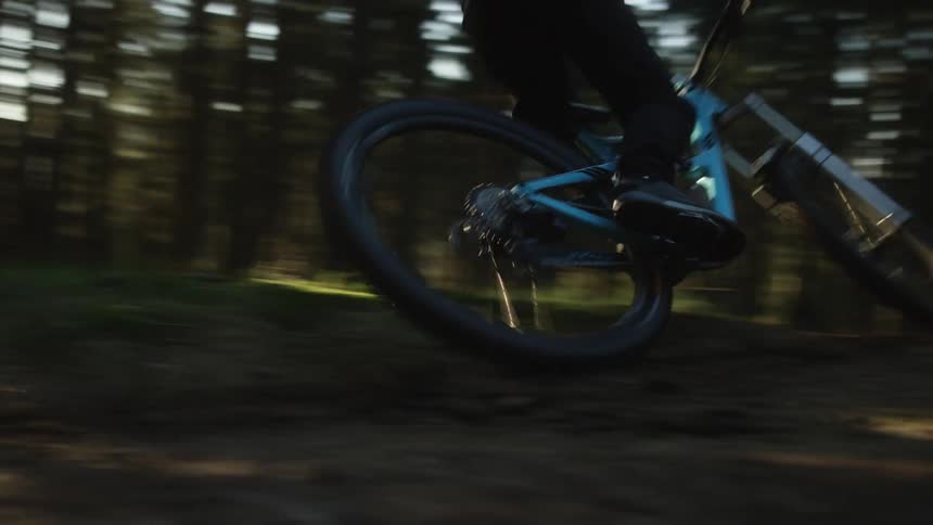 A person biking through a forest area