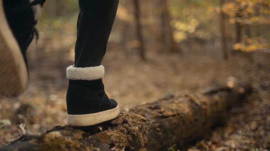 A person is balancing on the fallen log