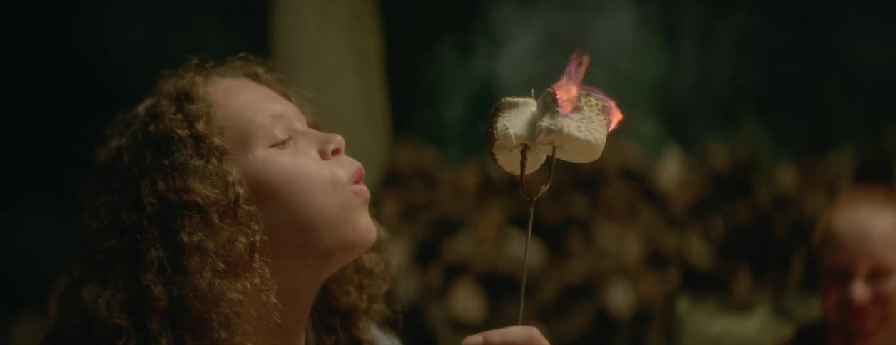 Children roast marshmallows on the fire