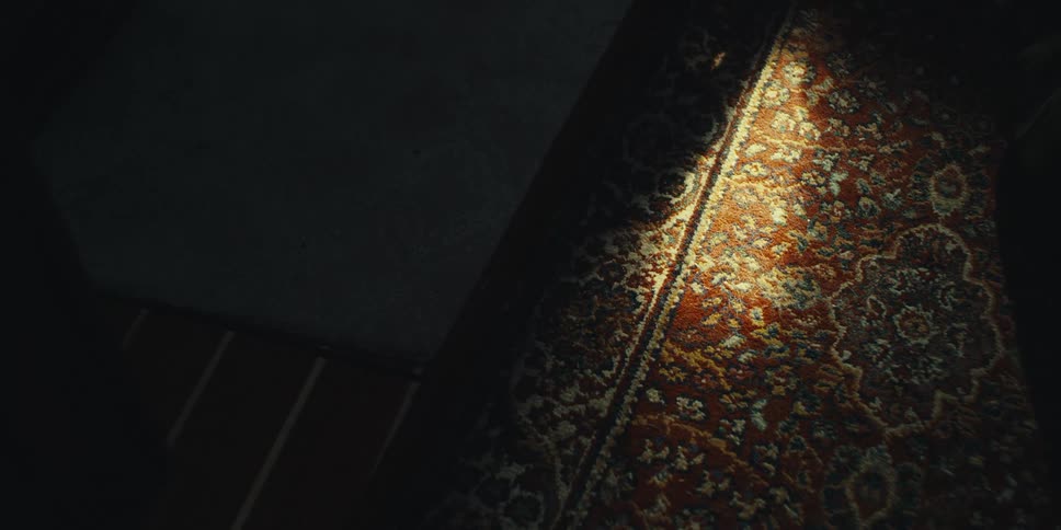 A patch of sunlight through a window moves across an oriental rug