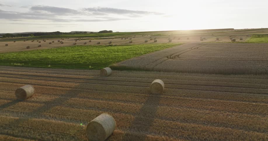 Hay bales on a field on a farm