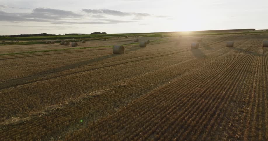 The sun shining on the horizon turning hay bales and rolls golden