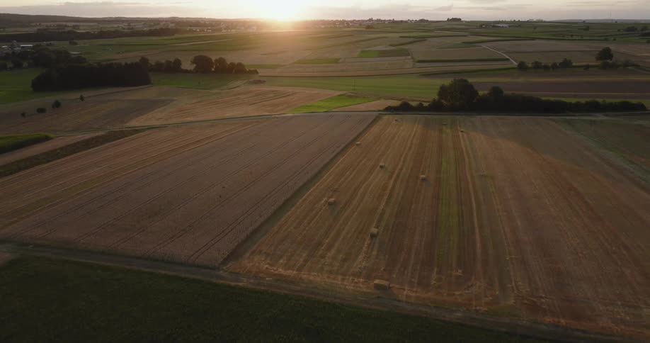 The sun sets over rows of crops in a vast field