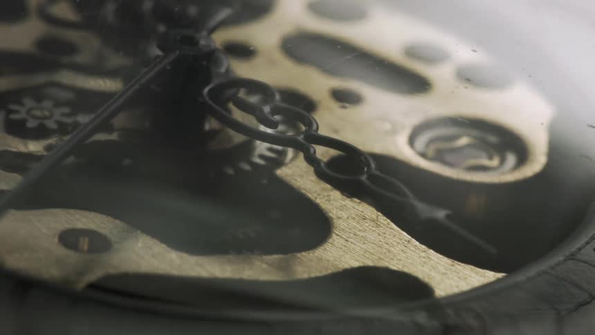 The inside of a watch