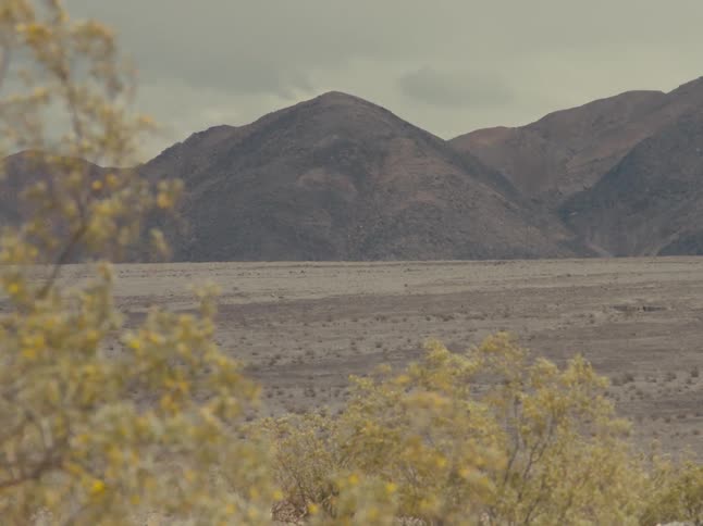 Mountains are displayed during the spring time