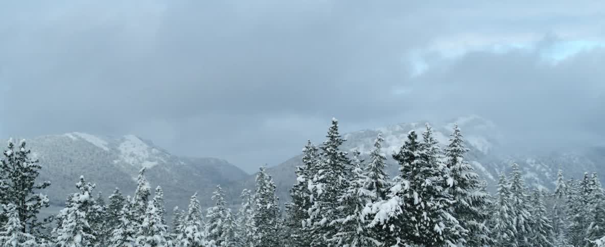A cloudy sky looms over a mountainous landscape covered in snowy forest