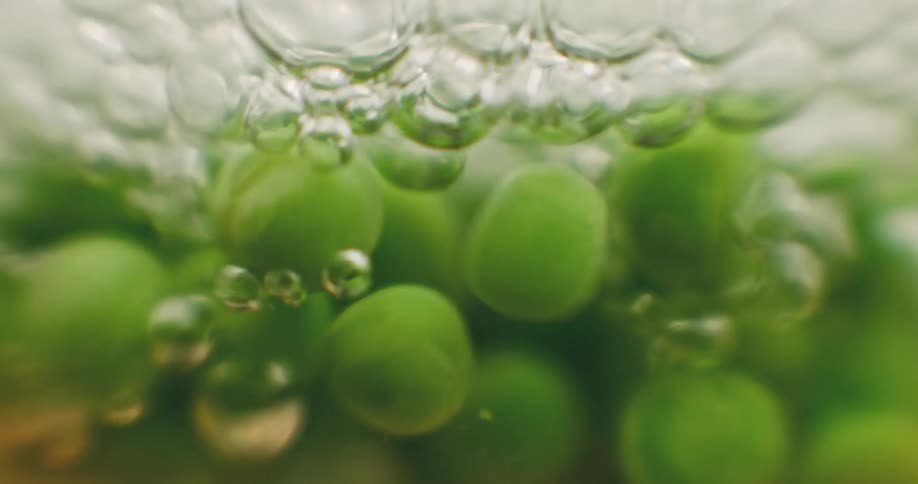 Peas in boiling water