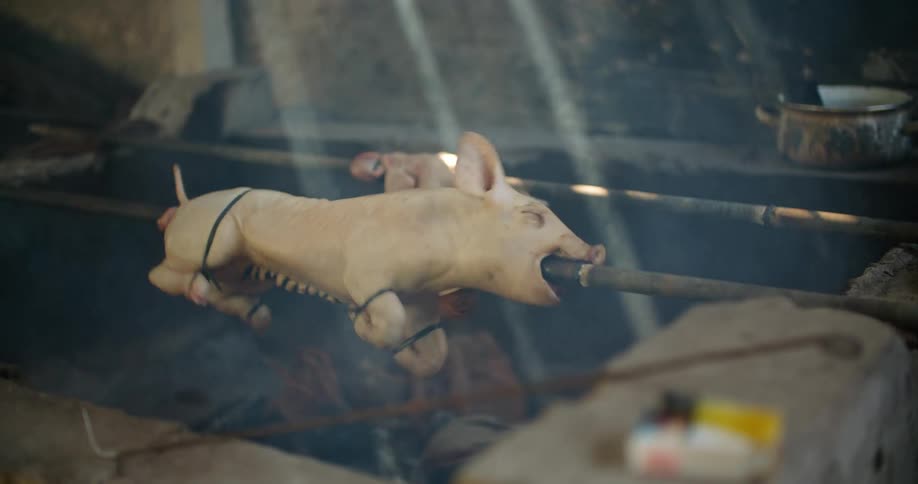 A pig is rotating and roasting on a barbeque spit