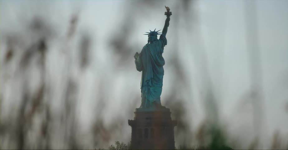 Statue of liberty is shows through stalks of nearby plants