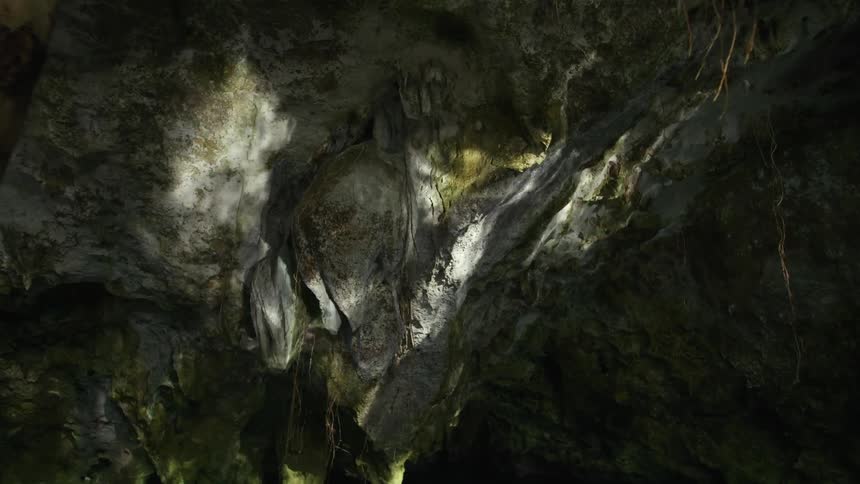 Light reflected by water plays over ceiling in cavern near lone tree