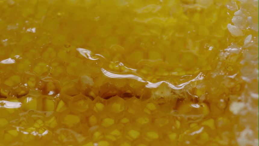 Honey drips down onto the honeycomb