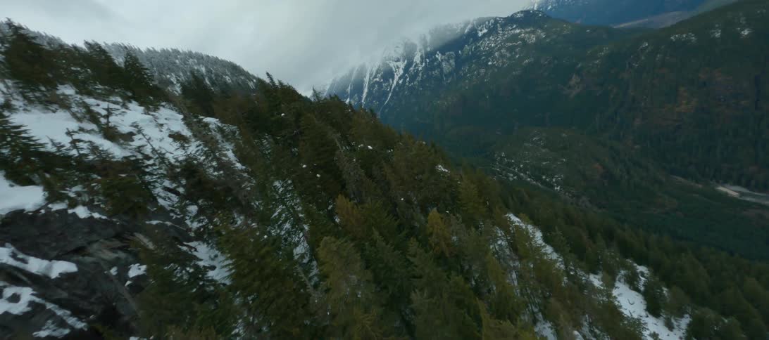 Trees and snow in a mountain range