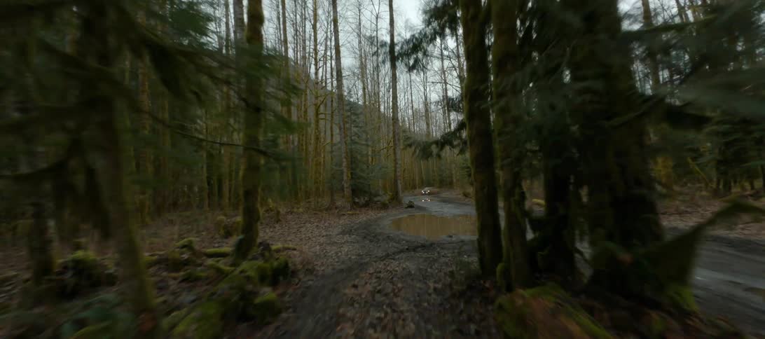 A car drives through the woods