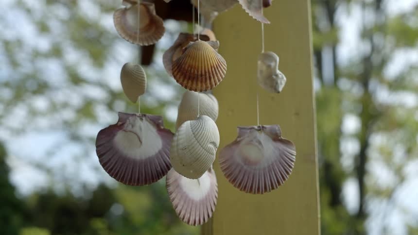 A sea shell wind chime blows in the breeze hanging from a post