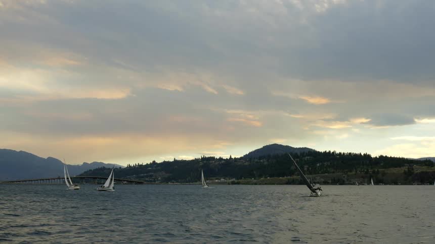 Several people in sailing in a lake