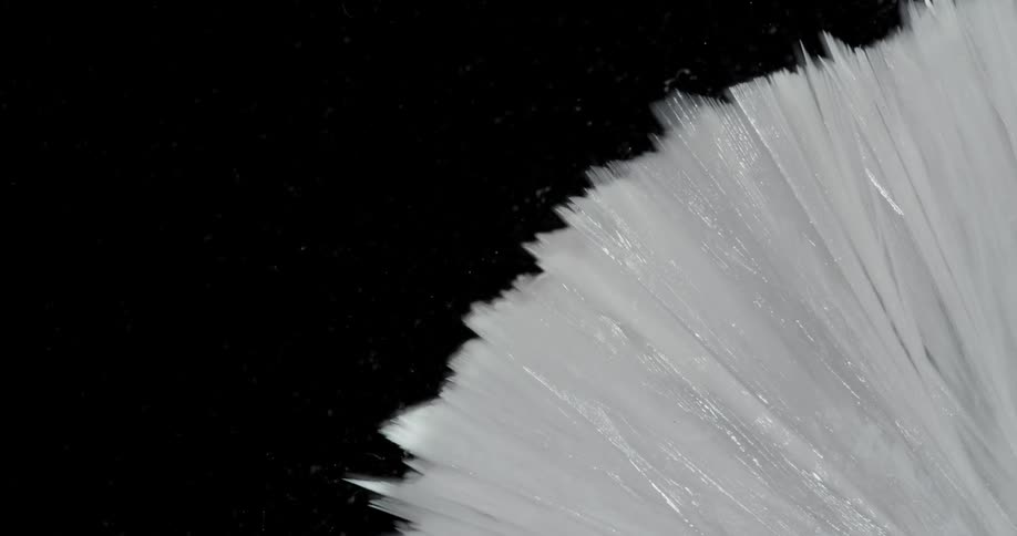 Timelapse of water freezing in thin long crystals over a black background