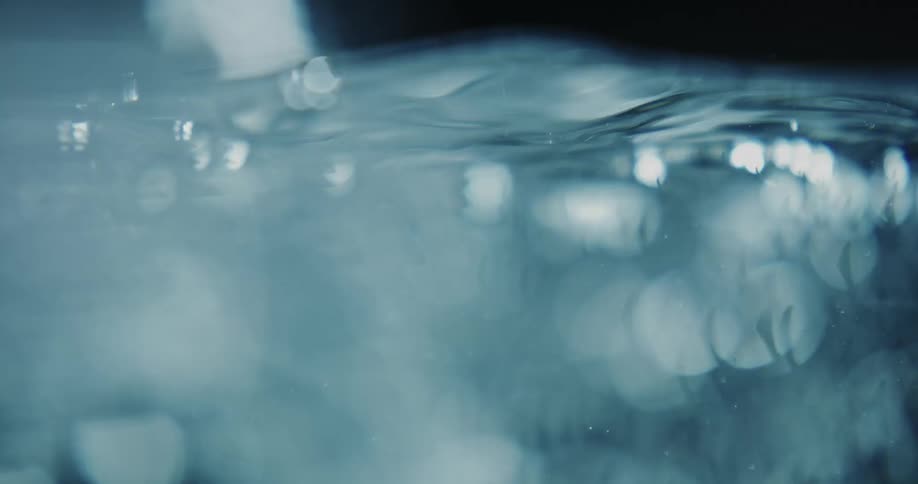 Sunlight reflects on the water as bubbles move to the surface