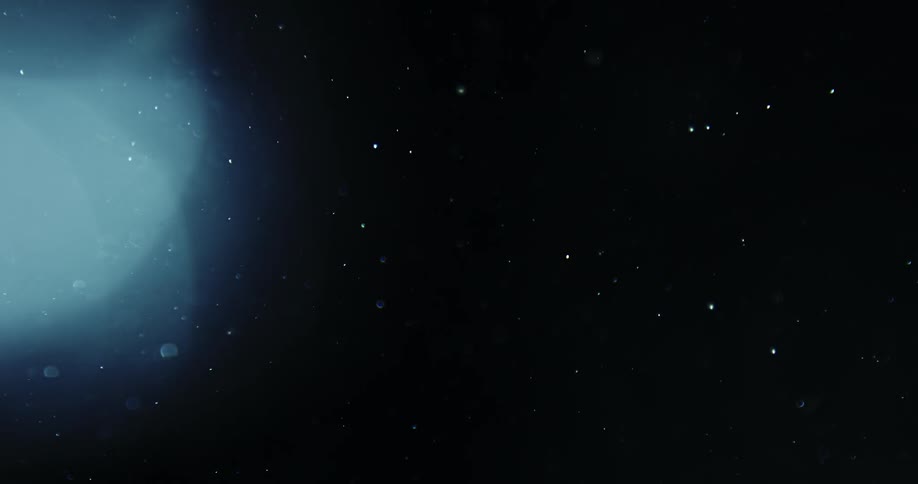 Dust motes floating in the air against a black background