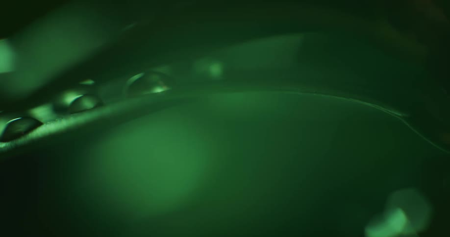 Liquid beads on surface then drops flow down object
