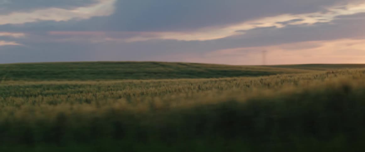 View of green grasslands and rolling hills at sunset in the countryside