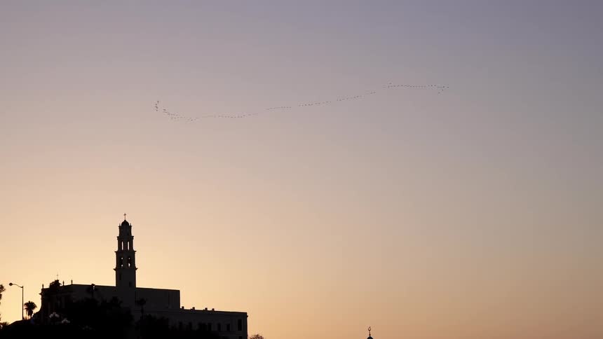 A flock of birds fly over a building at sunset
