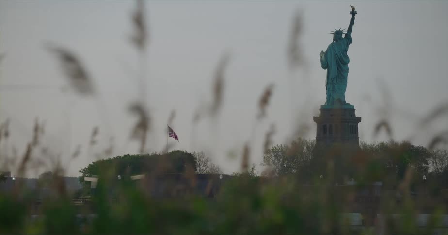 The statue of liberty is visible through tall grass