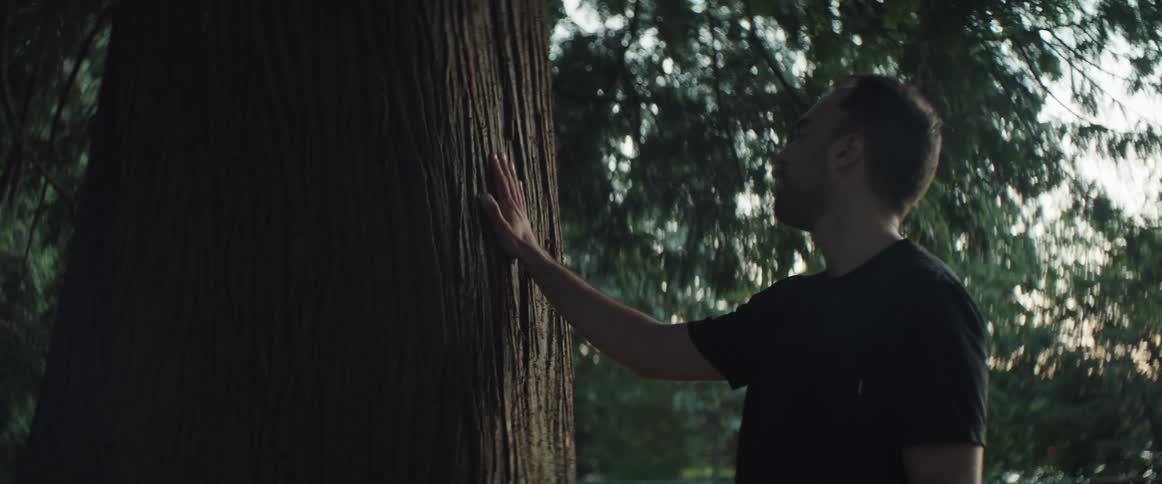 Hispanic man standing next to a big tree running his hand down the tree trunk in awe