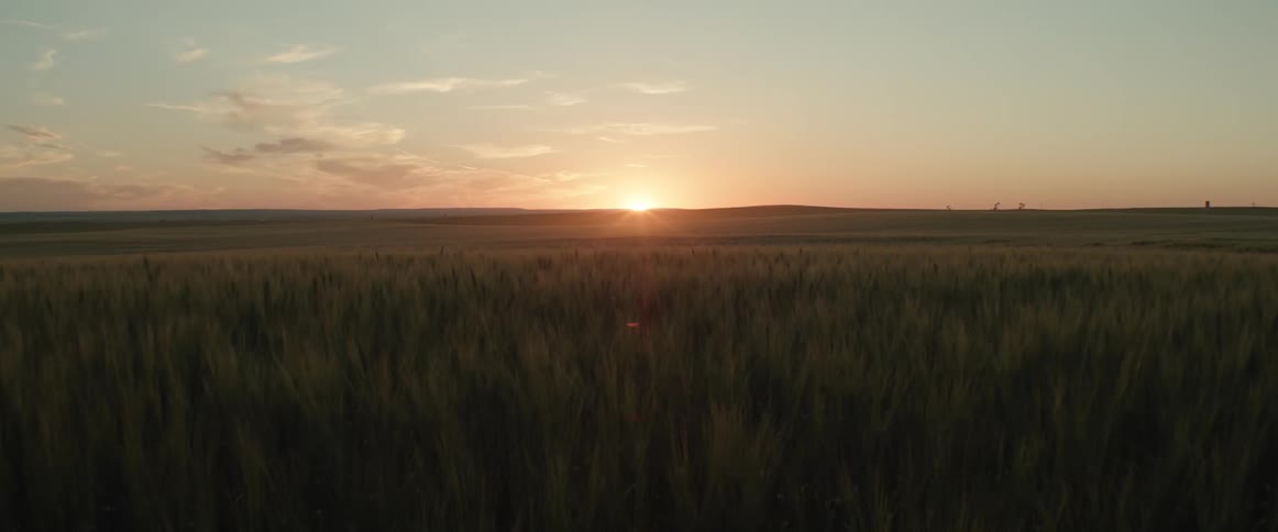 The sun setting over a grassy field
