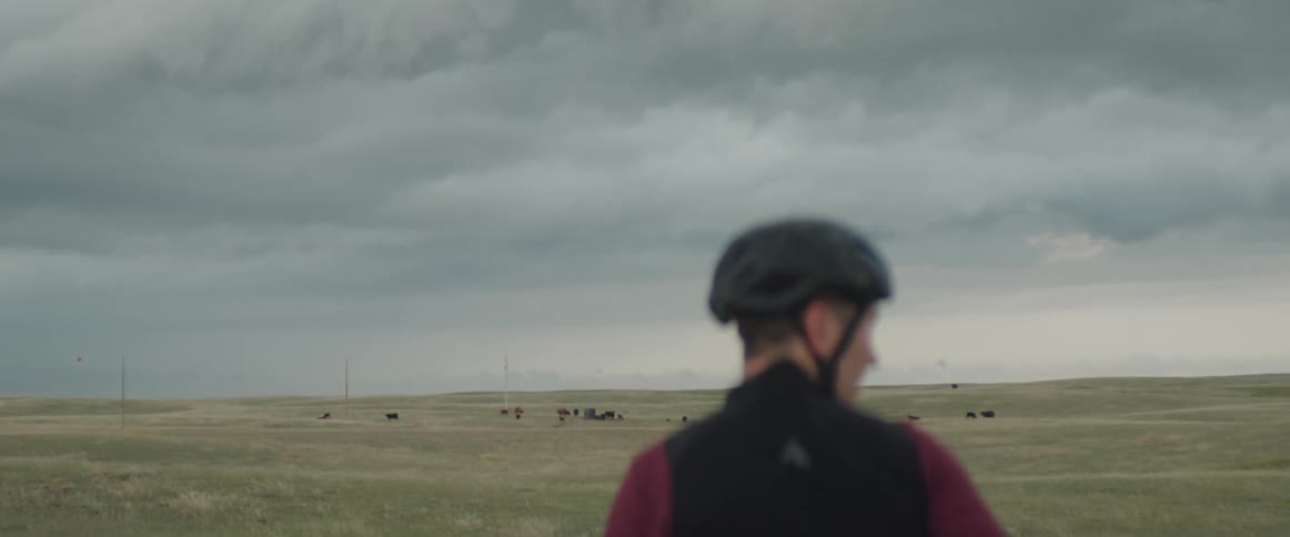 Male cyclist looks across pasture with grazing cattle with storm clouds overhead