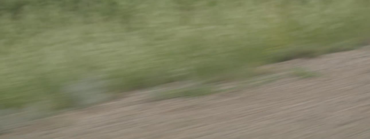 Abstract view of passing grass and dirt road from moving vehicle