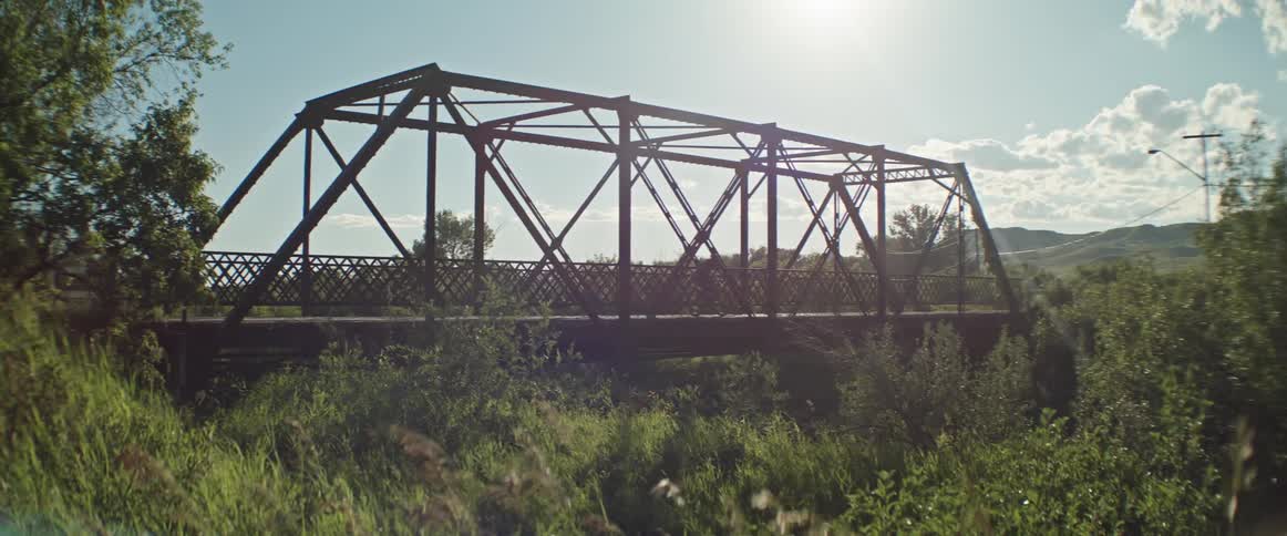 The sun shines brightly as a man rides a bicycle across a bridge and plants move in the breeze