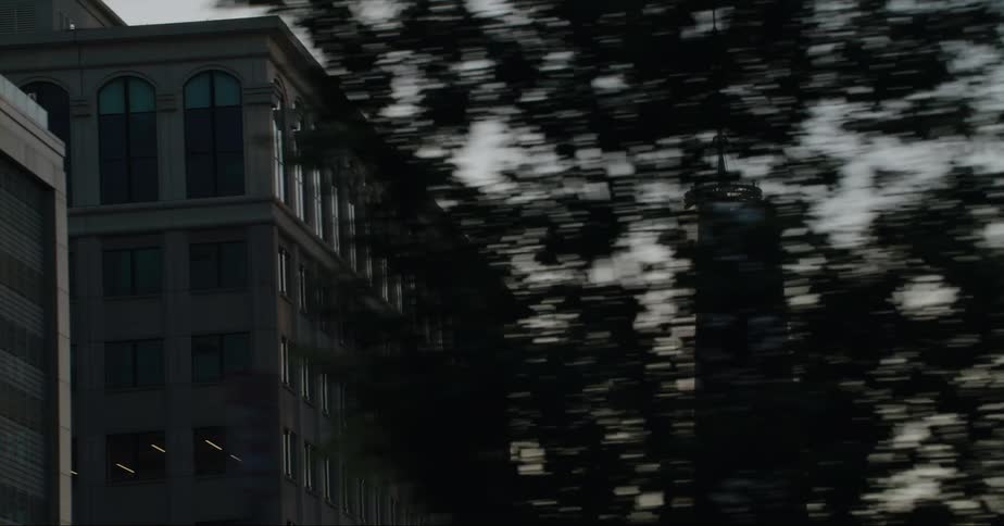 A bird flies high over buildings in a city