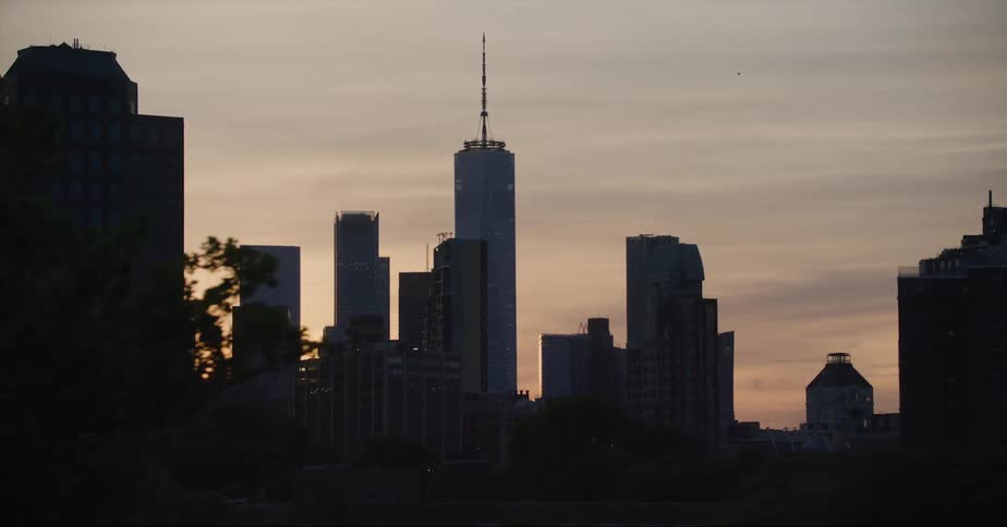 The silhouette of a city skyline can be seen behind several trees